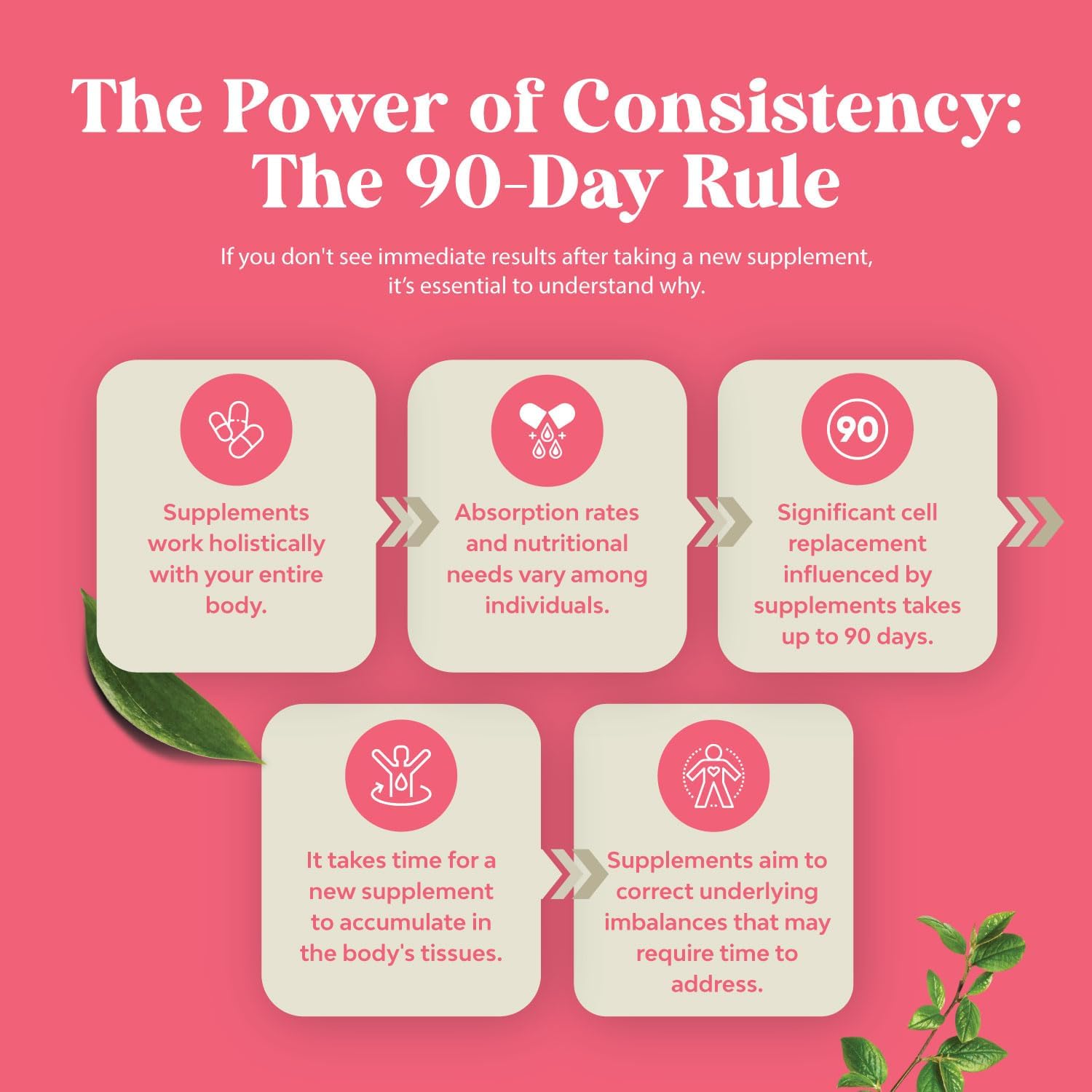 Complete Herbal Menopause Supplement for Women - Female Hormone Balance Capsules for Night Sweats, Hot Flashes & Mood Swings with Dong Quai, Chaste Berry & Black Cohosh Root - 60 Count Pack 24Hr Smart